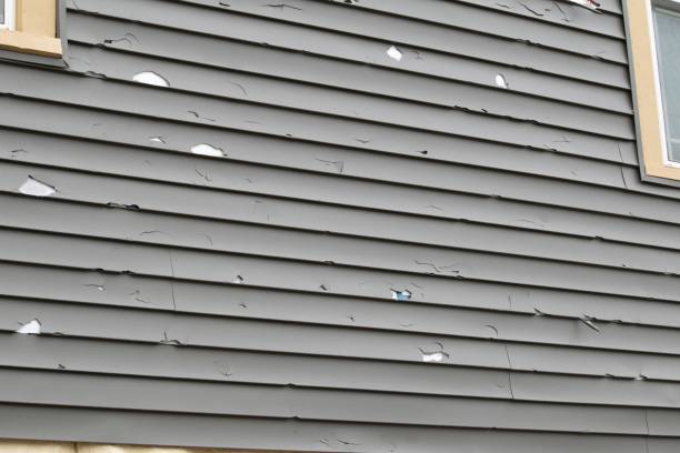 Best Aluminum Siding Installation  in Moorhead, MS